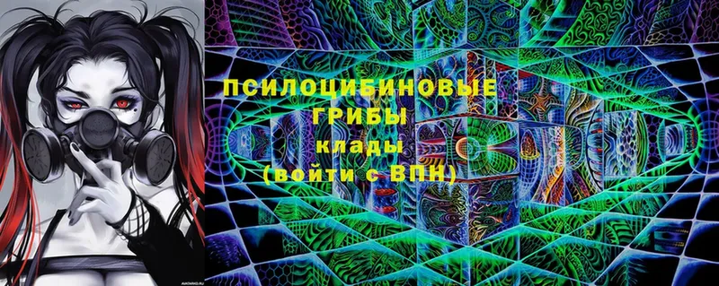 Галлюциногенные грибы прущие грибы  Приморско-Ахтарск 